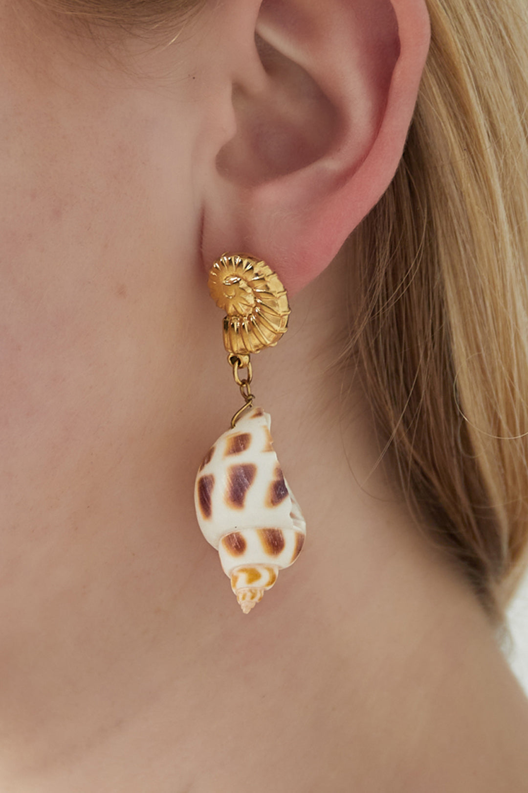 damen ohrringe muschel 14k | edelstahl vergoldet | goldfarbe