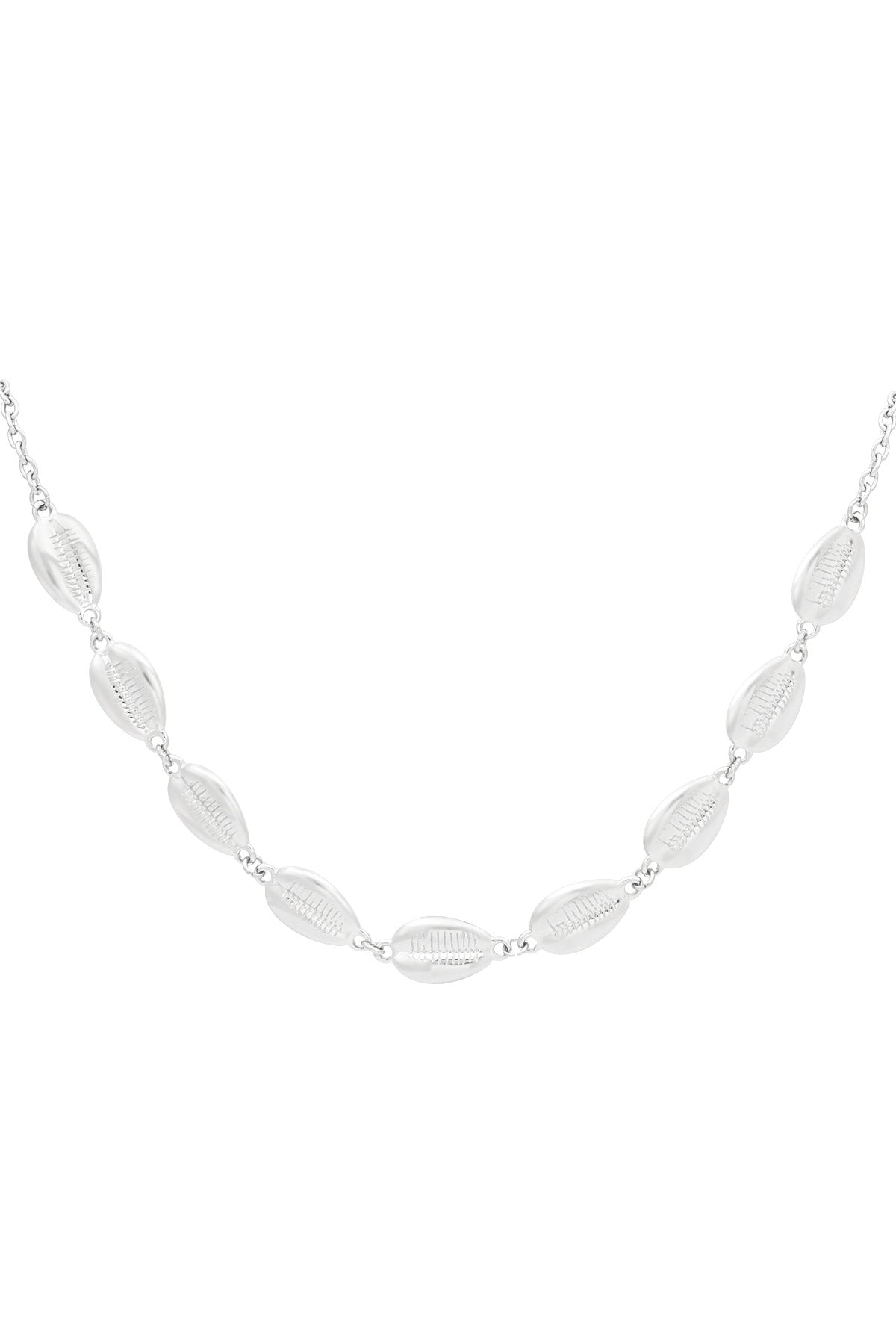 damen halskette muscheln | edelstahl | goldfarbe & silberfarbe