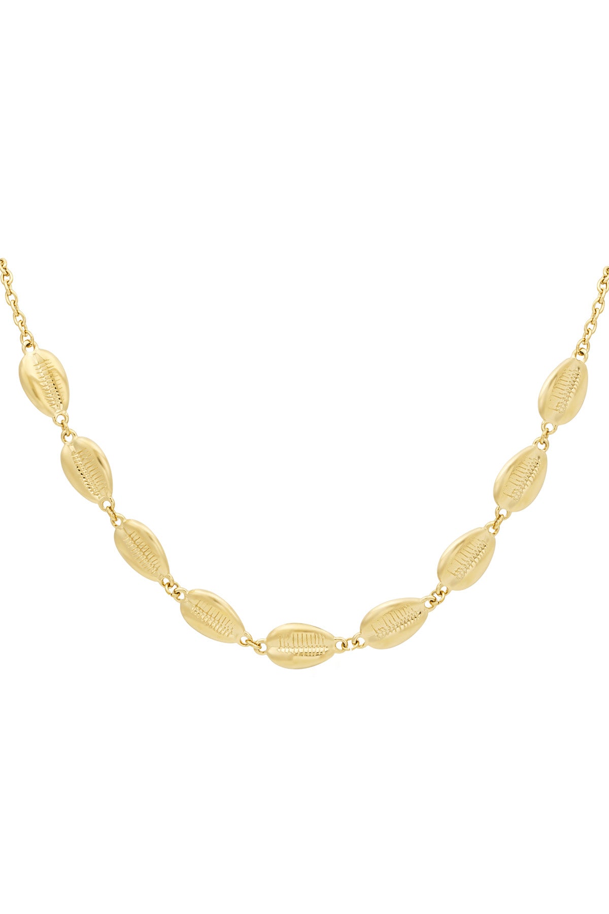 damen halskette muscheln | edelstahl | goldfarbe & silberfarbe