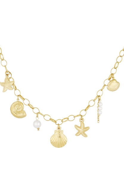 Damen Muschelkette Marine | Edelstahl | Goldfarbe & Silberfarbe