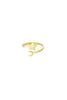 Damen Ring Himmelszeichen | Edelstahl | Goldfarbe & Silberfarbe