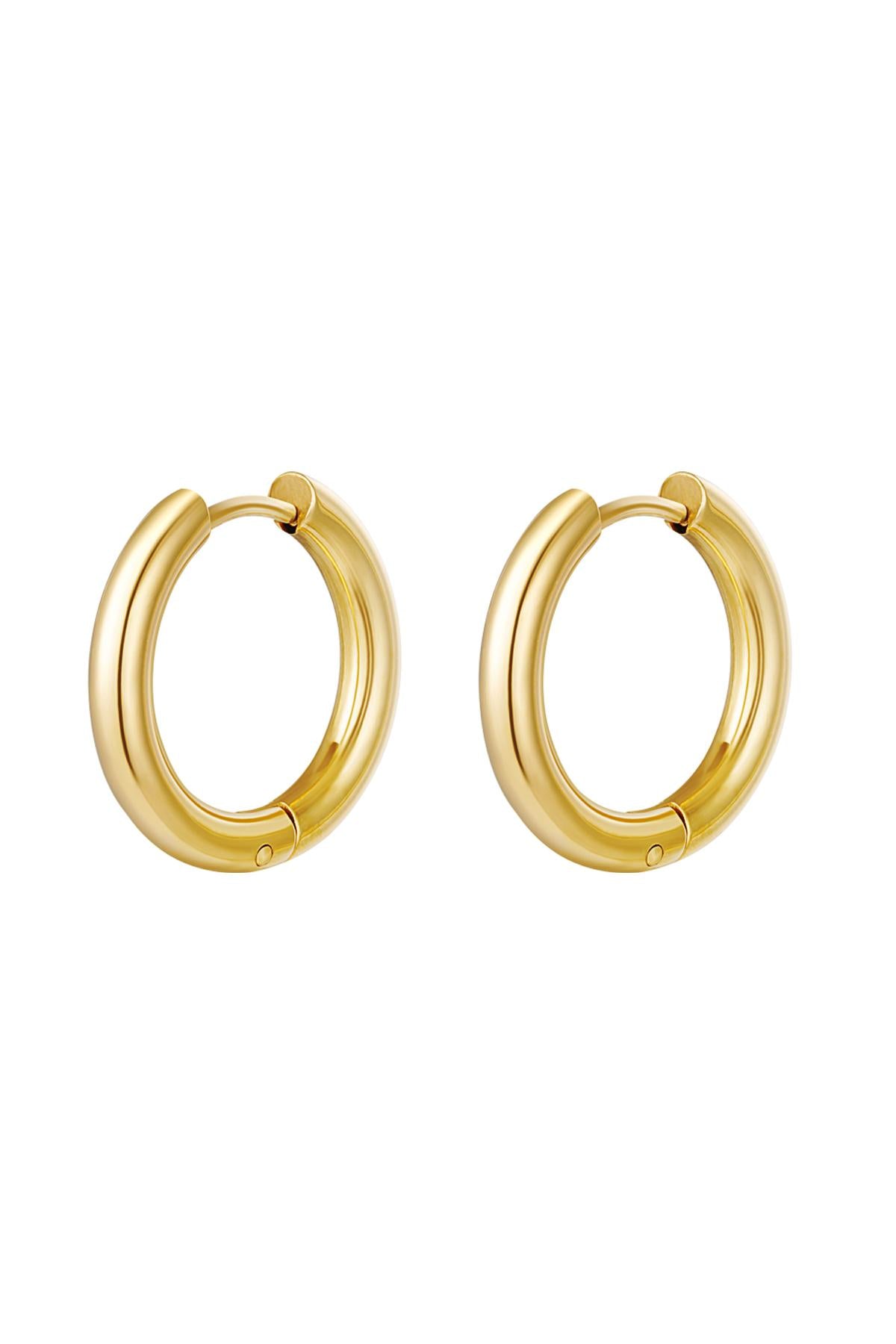 Damen Creolen Elegant | Edelstahl | Goldfarbe & Silberfarbe