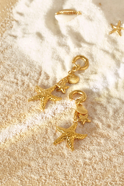 Damen Ohrringe Seestern Muscheln | Edelstahl | Goldfarbe & Silberfarbe