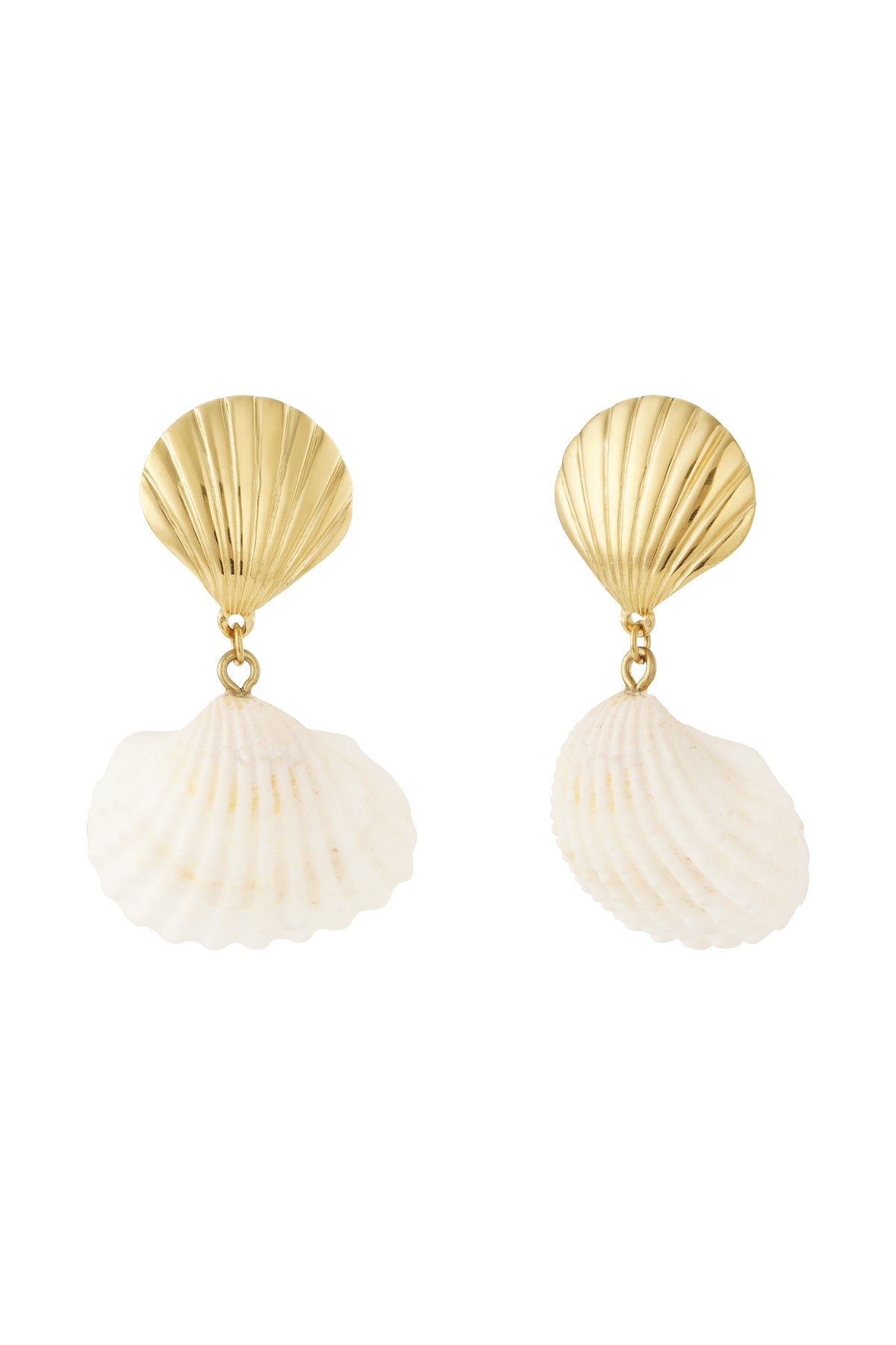 damen ohrringe meeresmuschel 14k | edelstahl vergoldet | goldfarbe