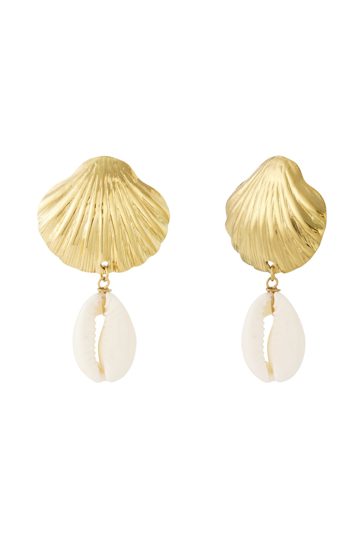 Damen Ohrringe Muschel Marine 14K | Edelstahl vergoldet | Goldfarbe