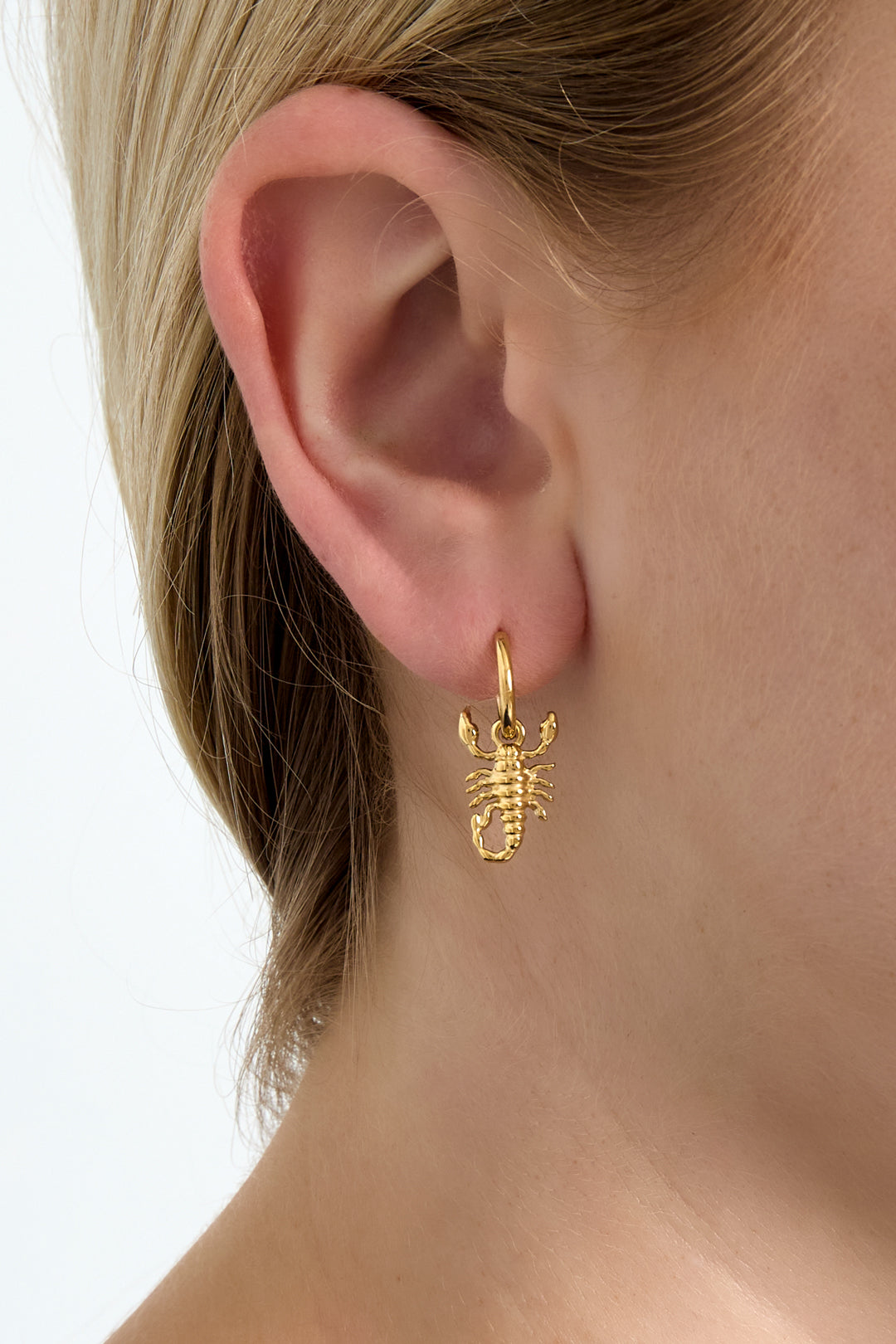 damen ohrringe scorpio | edelstahl | gold & silber