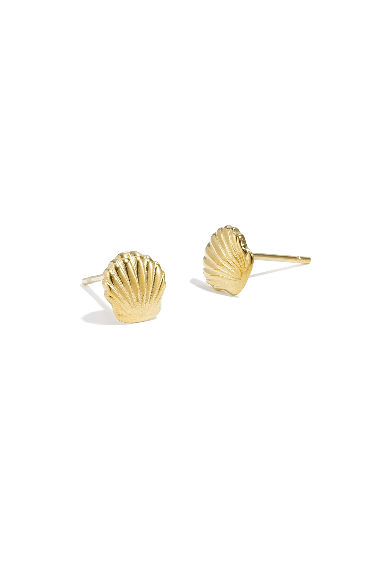 damen ohrstecker muscheln | edelstahl | silberfarbe