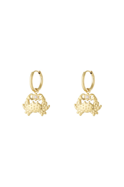   Tropfenohrringe Tier Casual Daily Simple Series Damenschmuck