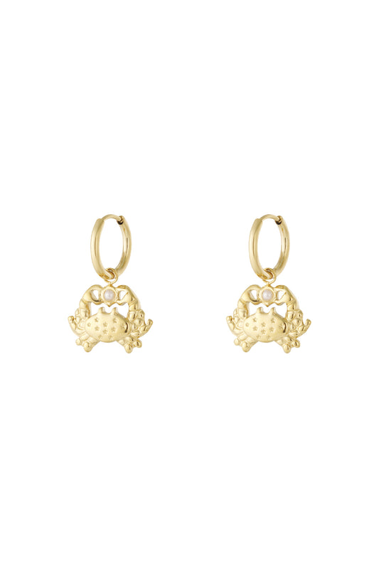   Tropfenohrringe Tier Casual Daily Simple Series Damenschmuck