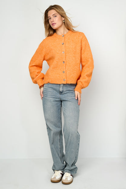Damen Cardigan Gestrickt Elegant | Polyester | Mehrfarbig