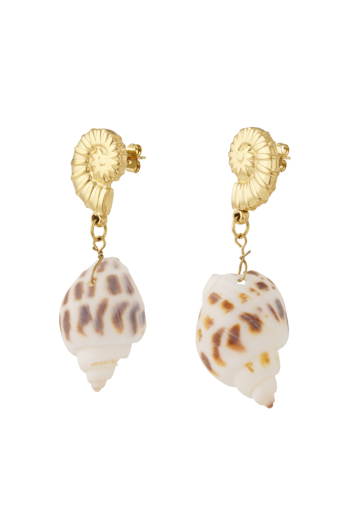 Damen Ohrringe Muschel 14K | Edelstahl vergoldet | Goldfarbe