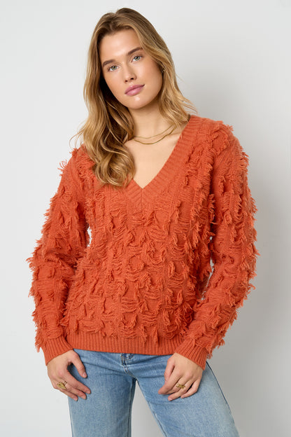 Damen Pullover V-Ausschnitt Fransen | Wolle | Mehrfarbig