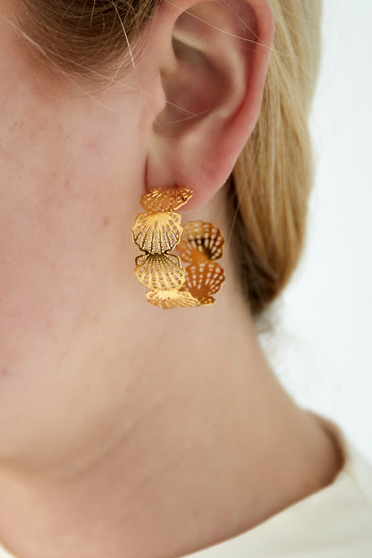Damen Creolen Muschel 14K | Edelstahl vergoldet | Goldfarbe