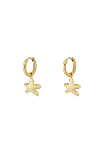 Damen Ohrstecker Mini-Stern Marine 14K | Edelstahl vergoldet | Goldfarbe