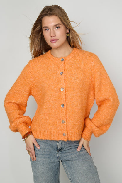 Damen Cardigan Gestrickt Elegant | Polyester | Mehrfarbig